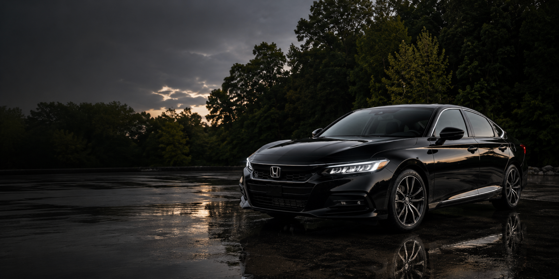 Black Honda Civic detailed by Devine Shine Auto Detailing